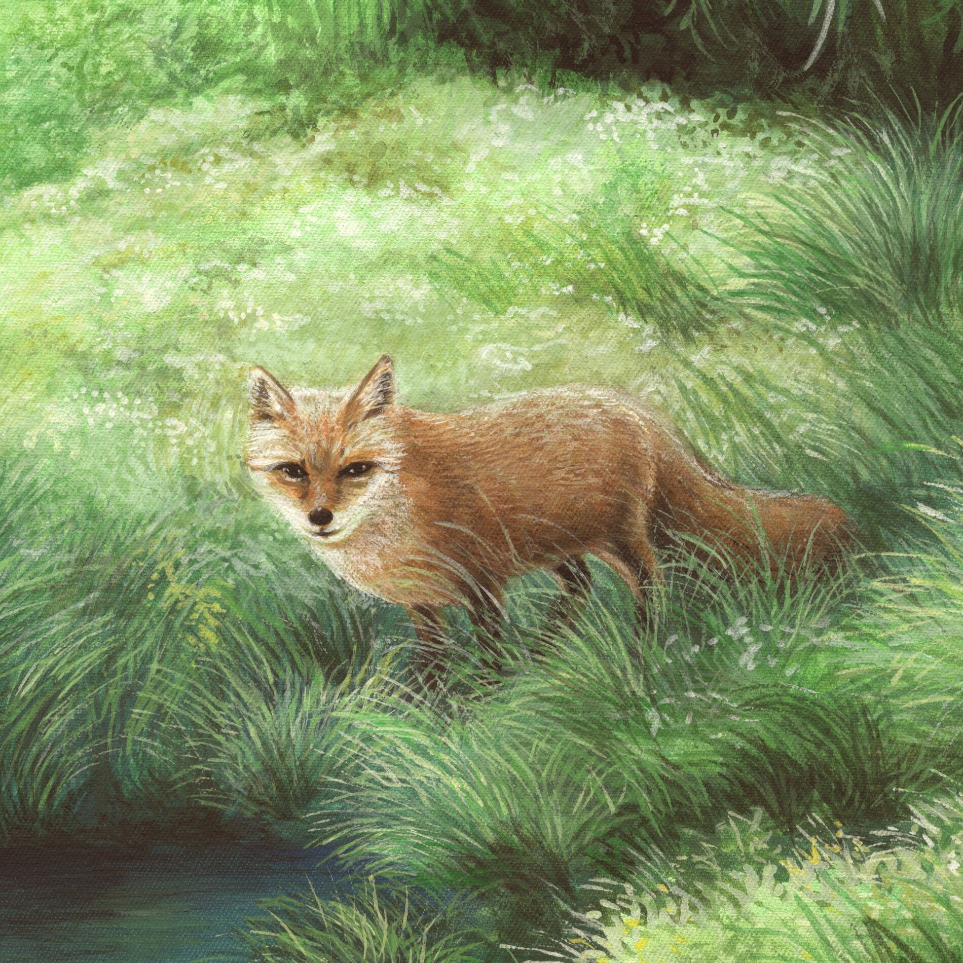 Album cover of Foxx