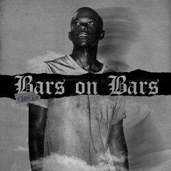 Cover of Bars on Bars