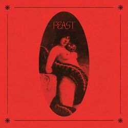 Cover of Feast