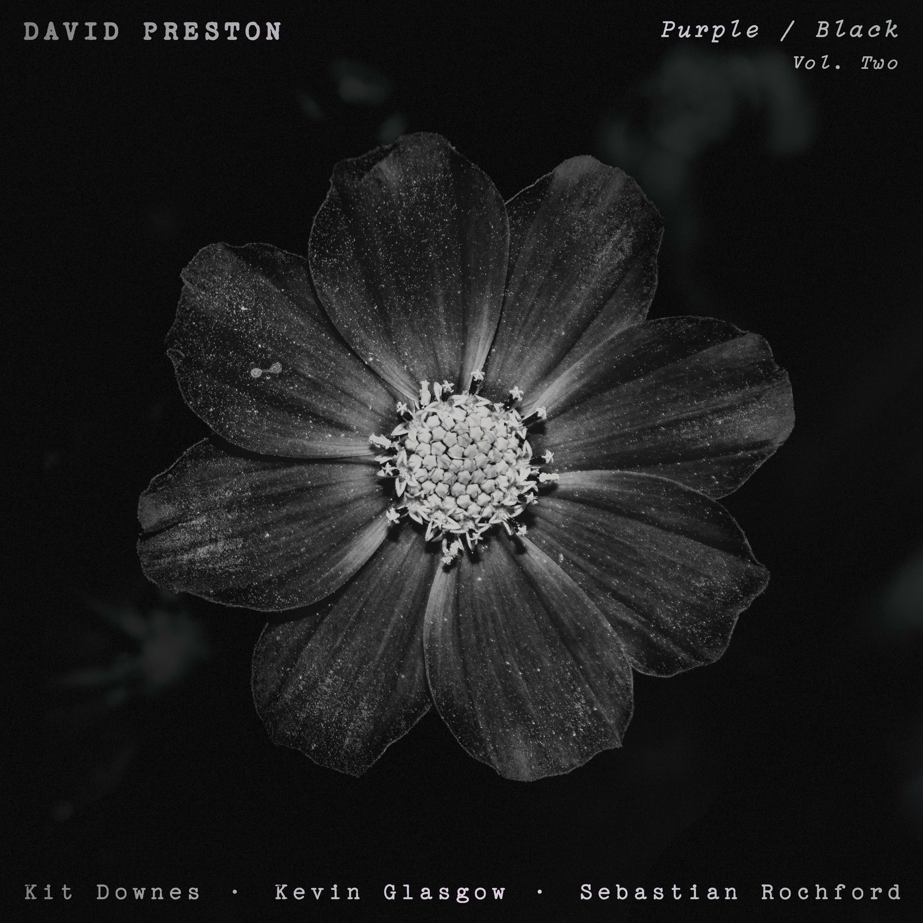 Album cover of Purple / Black (Vol. 2)