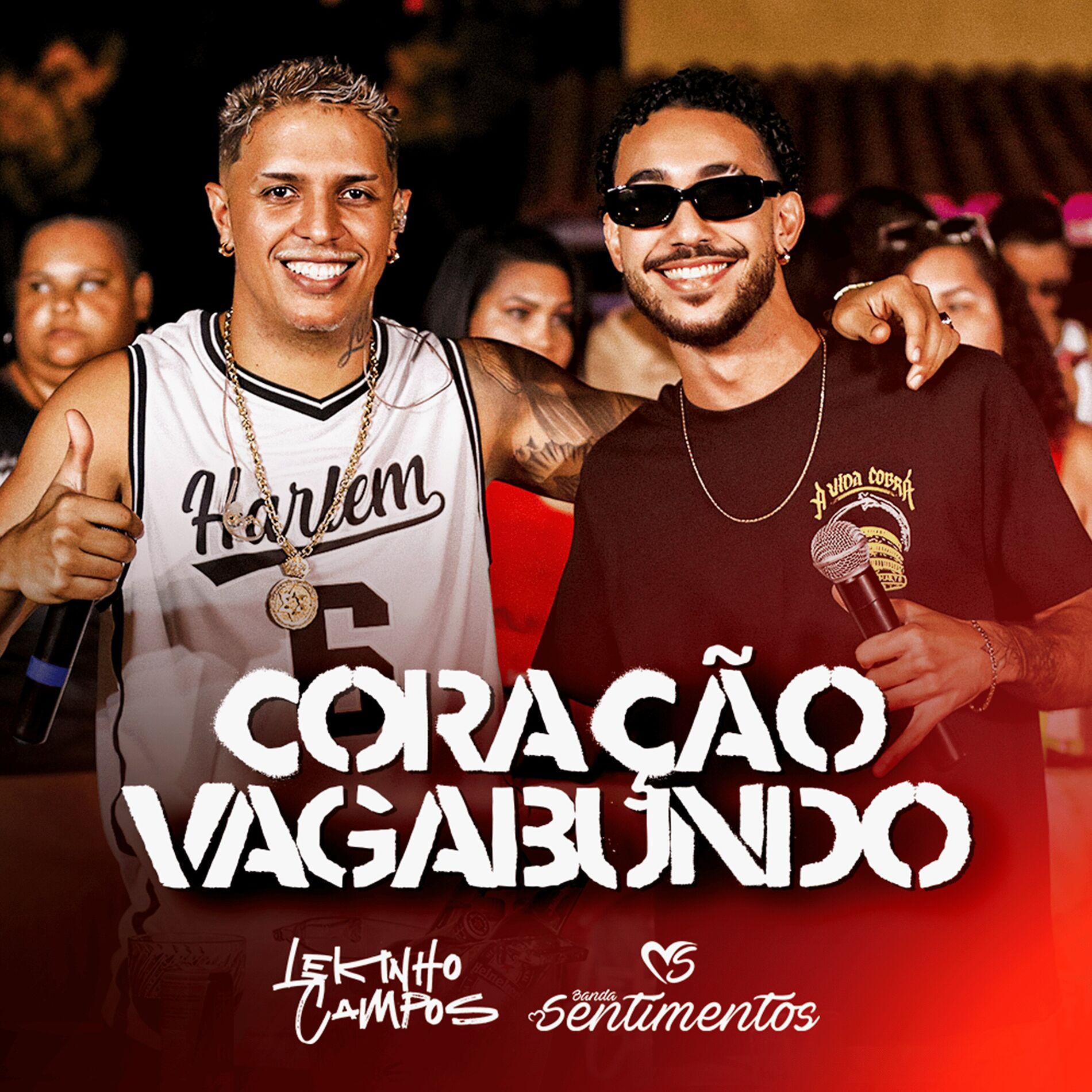 Album cover of Coração Vagabundo