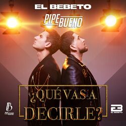 Cover of ¿Qué Vas A Decirle?