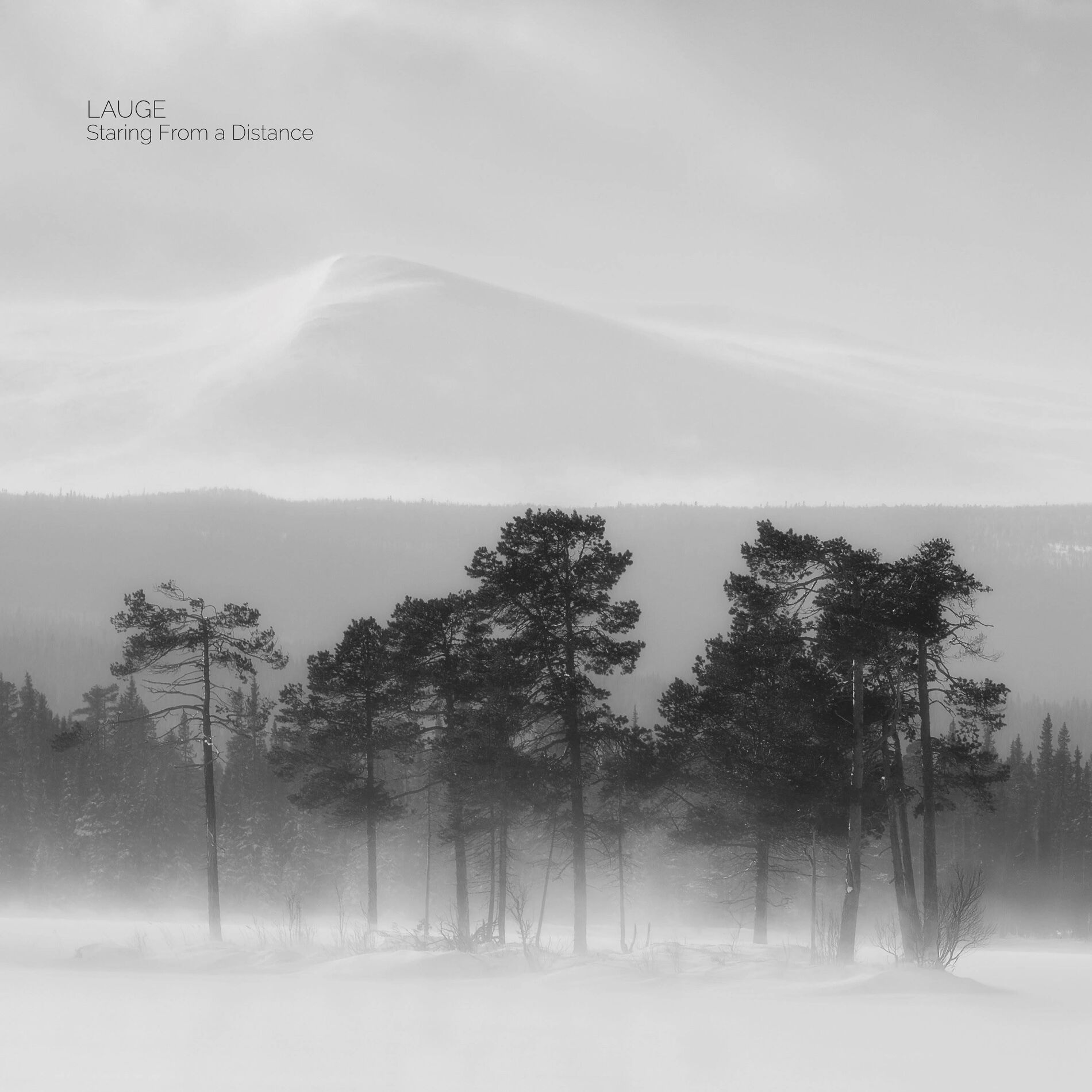 Album cover of Staring from a Distance