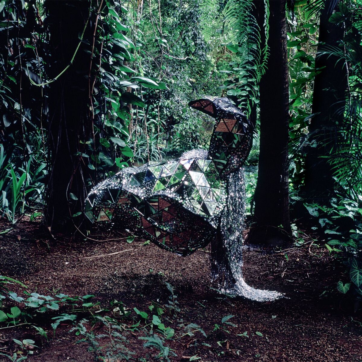 Album cover of Donkey