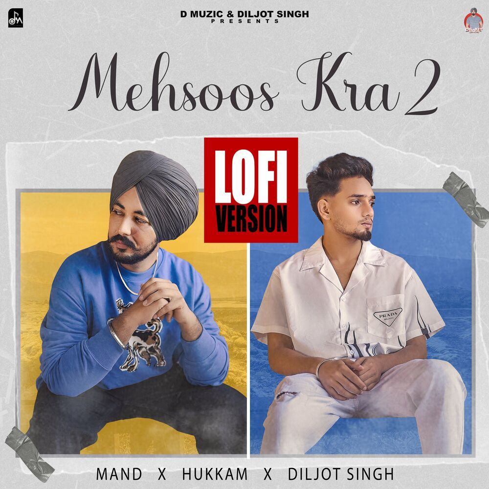 Picture of Mehsoos Kra 2 ( Lofi Version )