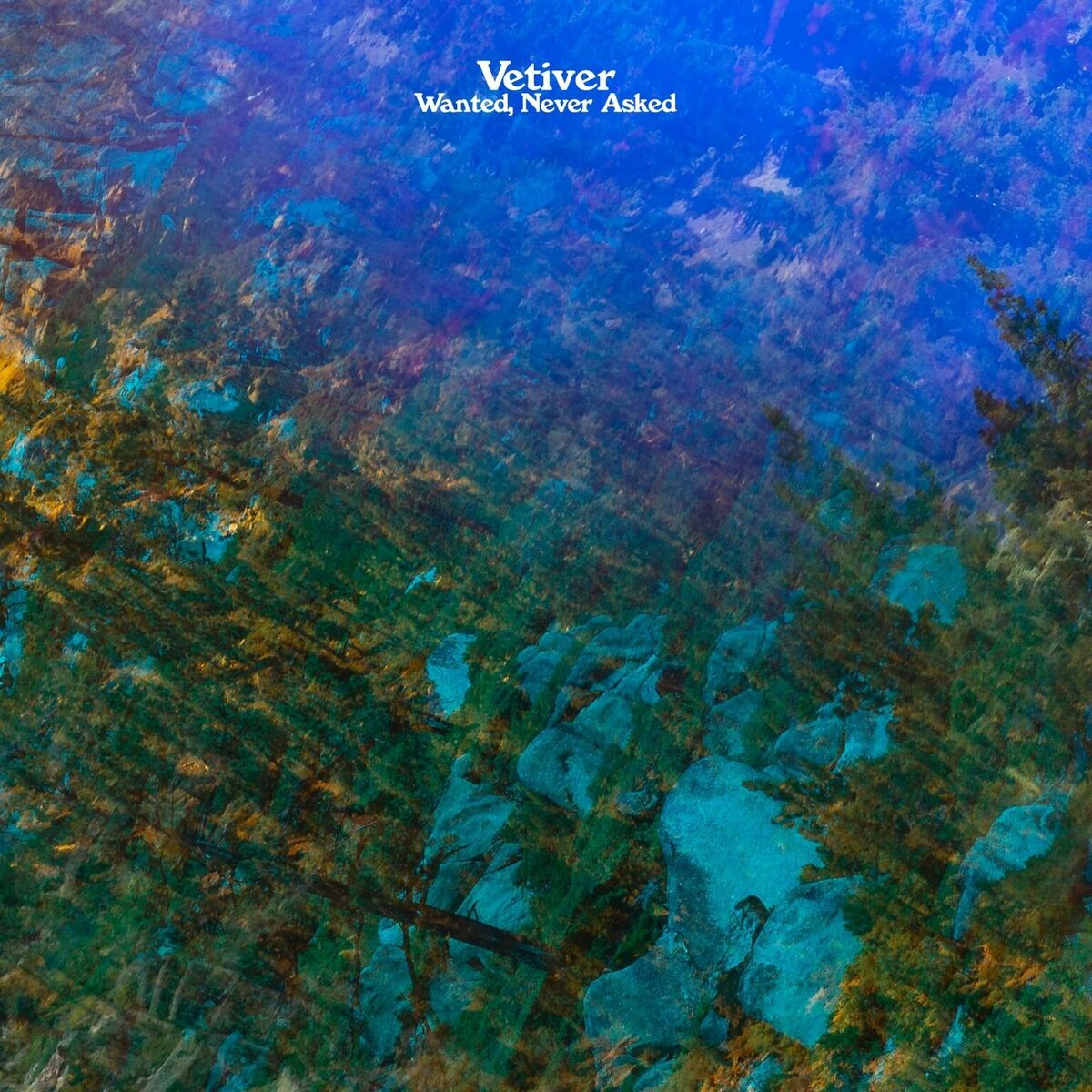 Album cover of Wanted, Never Asked