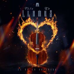 Cover of TOLO EN LLAMAS