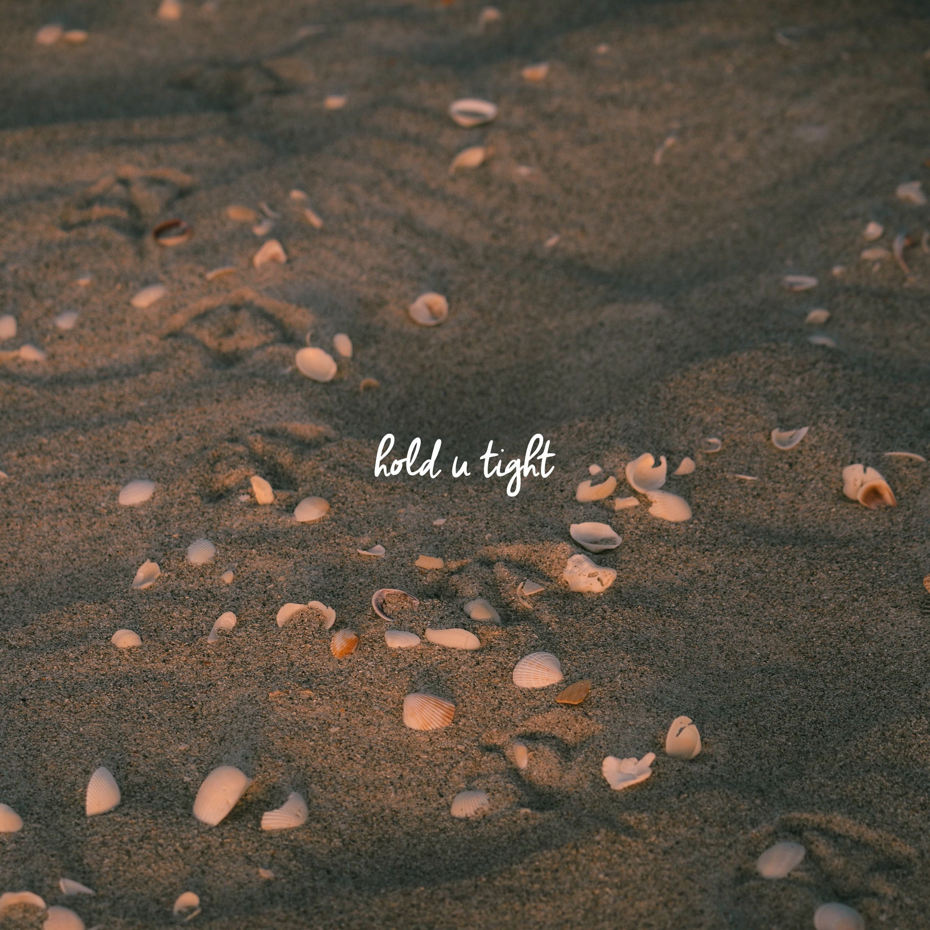 Album cover of hold u tight