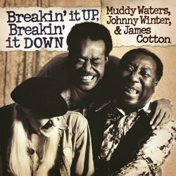 Cover of Breakin' It Up, Breakin' It Down