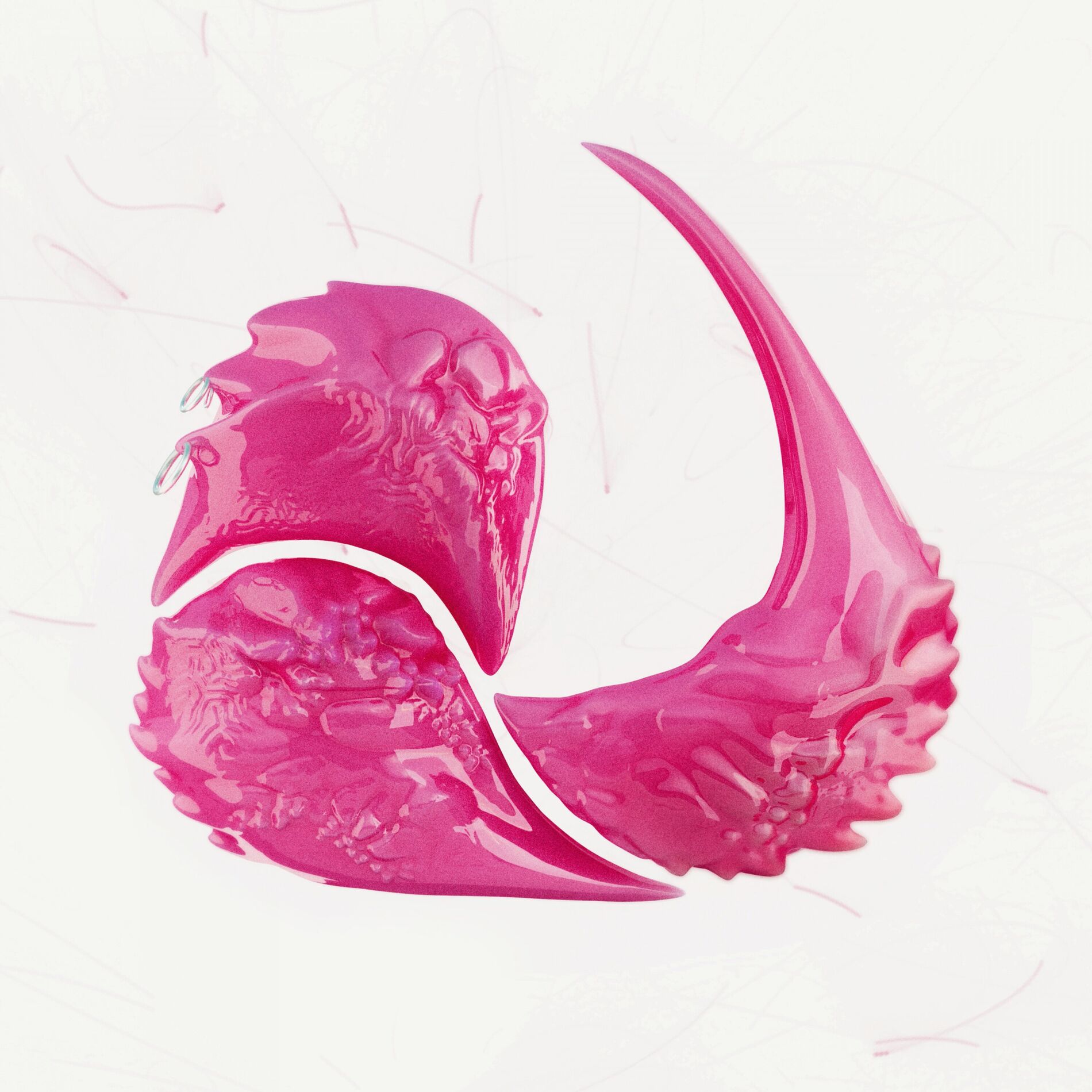Album cover of The Gomboc Kink