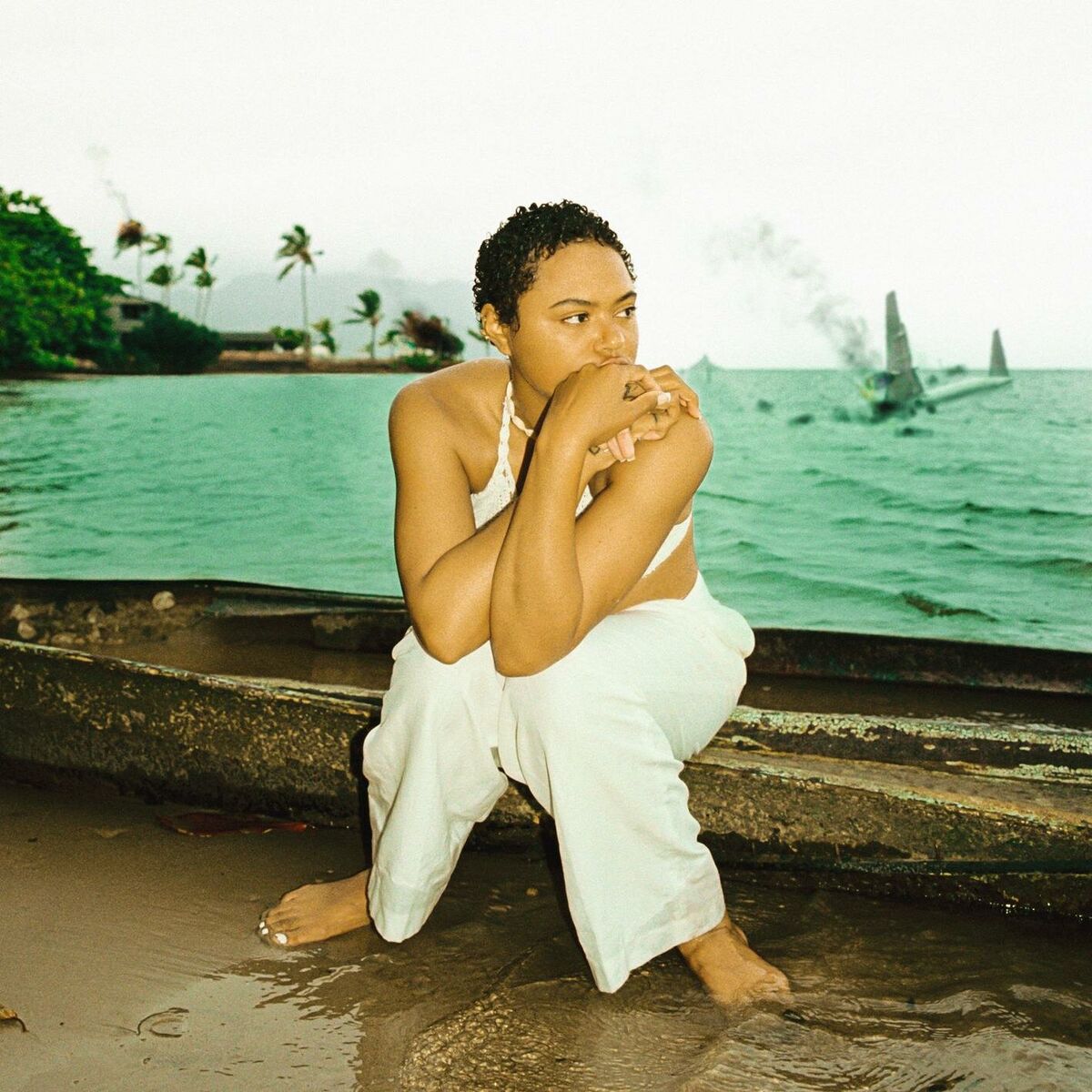 Album cover of serial recluse