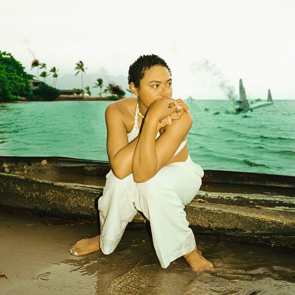 Album cover of serial recluse