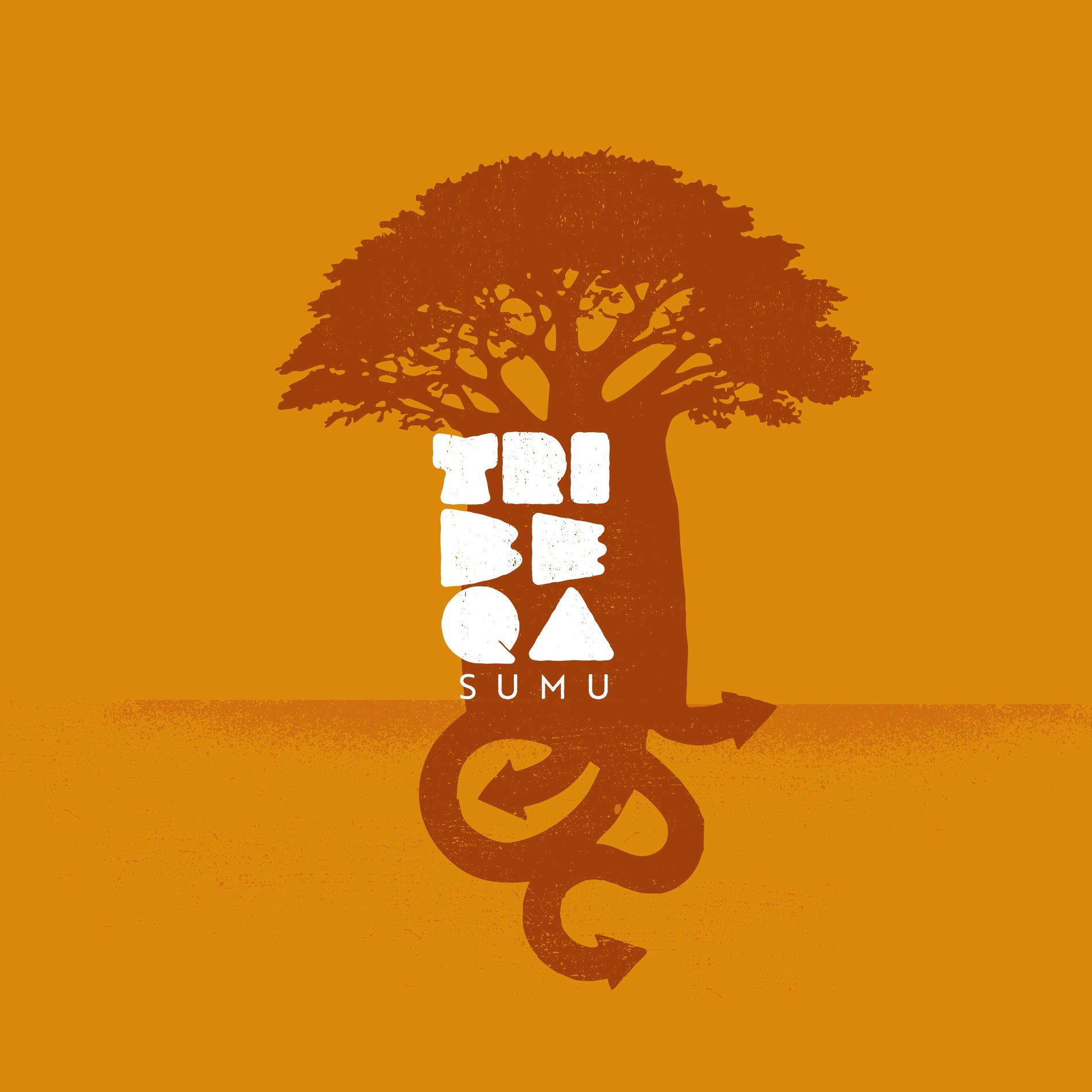 Album cover of Respire