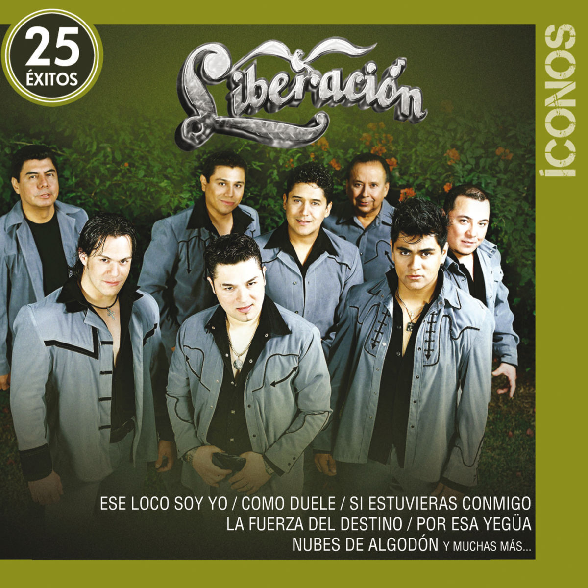 Album cover of Íconos 25 Éxitos
