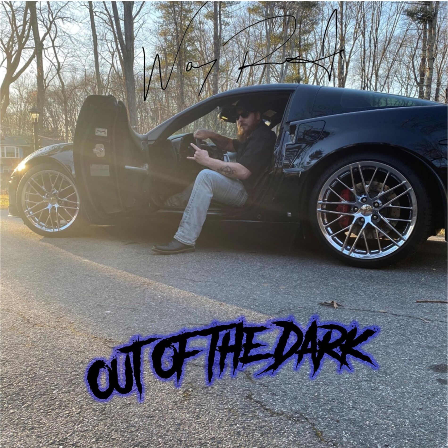 Album cover of Out Of The Dark