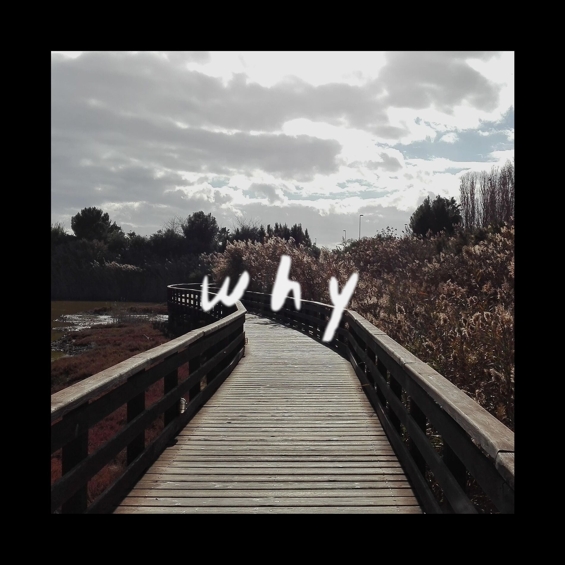 Album cover of Why