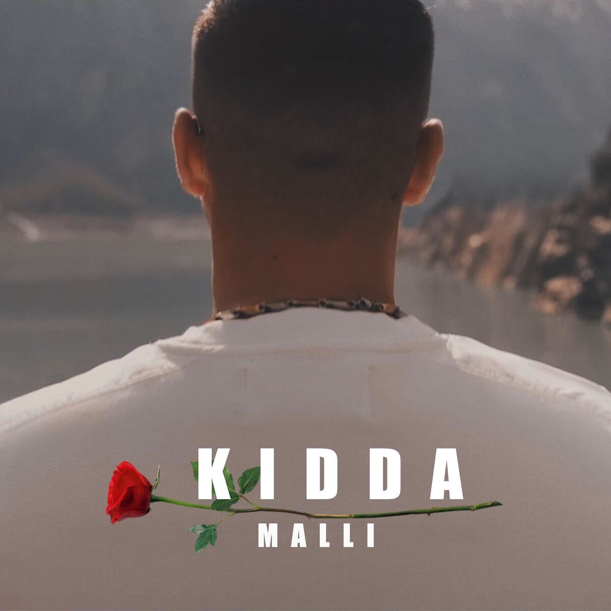 Album cover of Malli