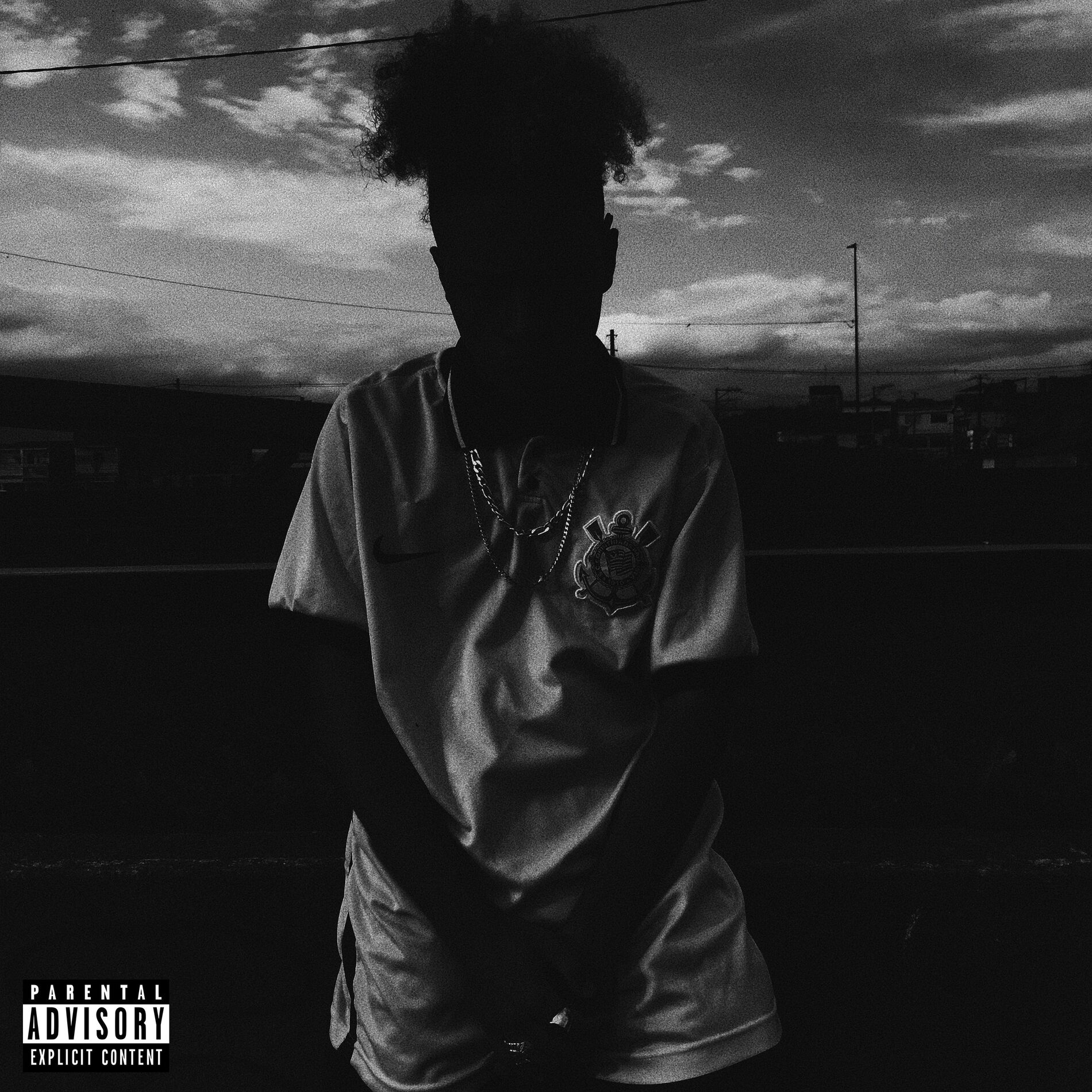 Album cover of Lodo