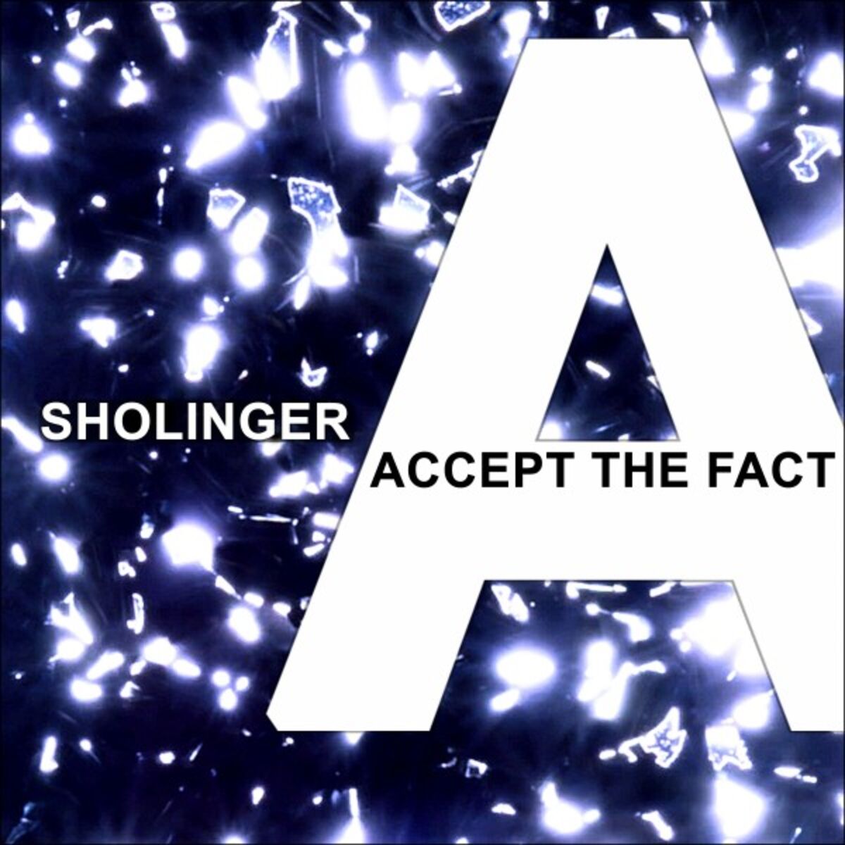 Album cover of Accept the Fact