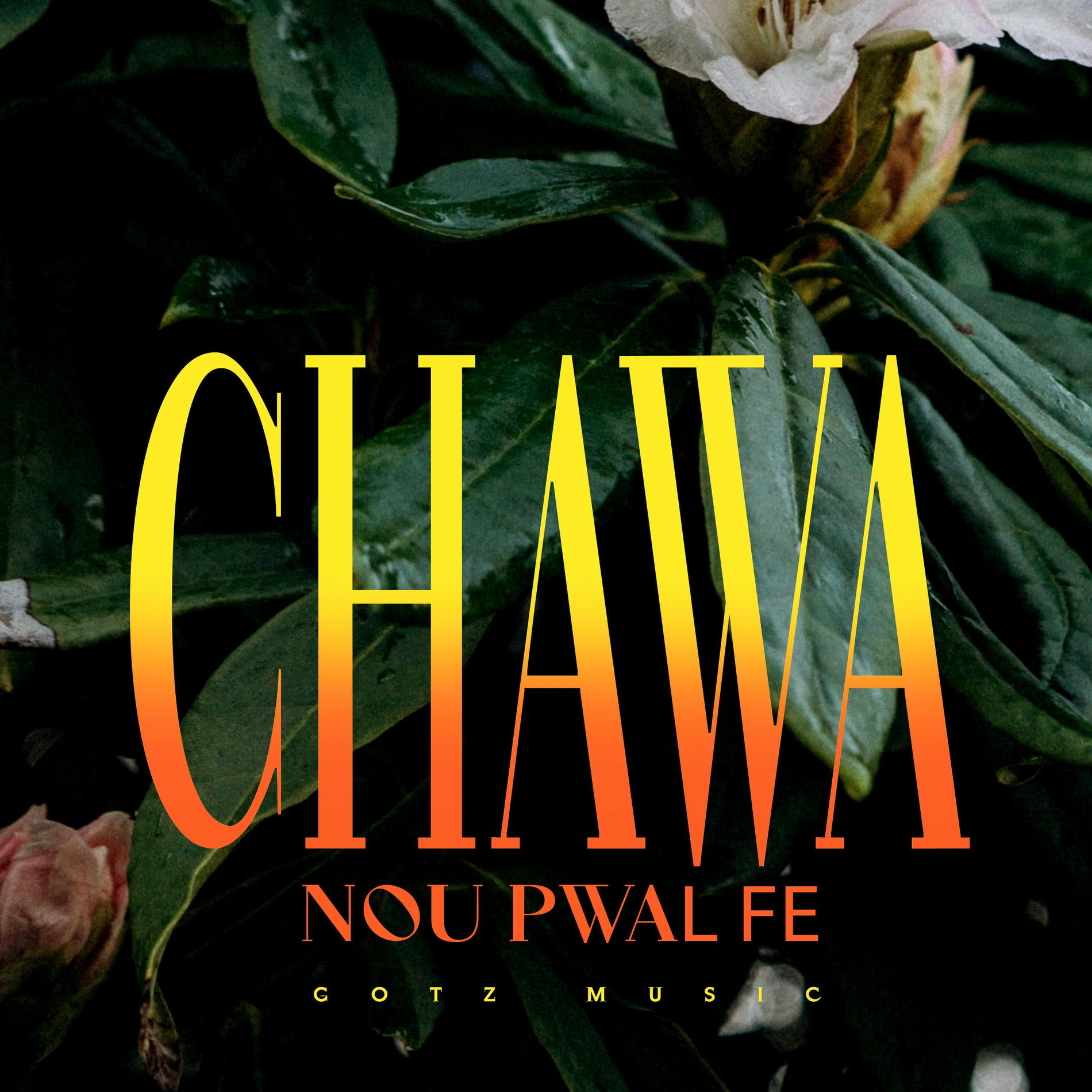 Album cover of Chawa Nou Pwal Fe
