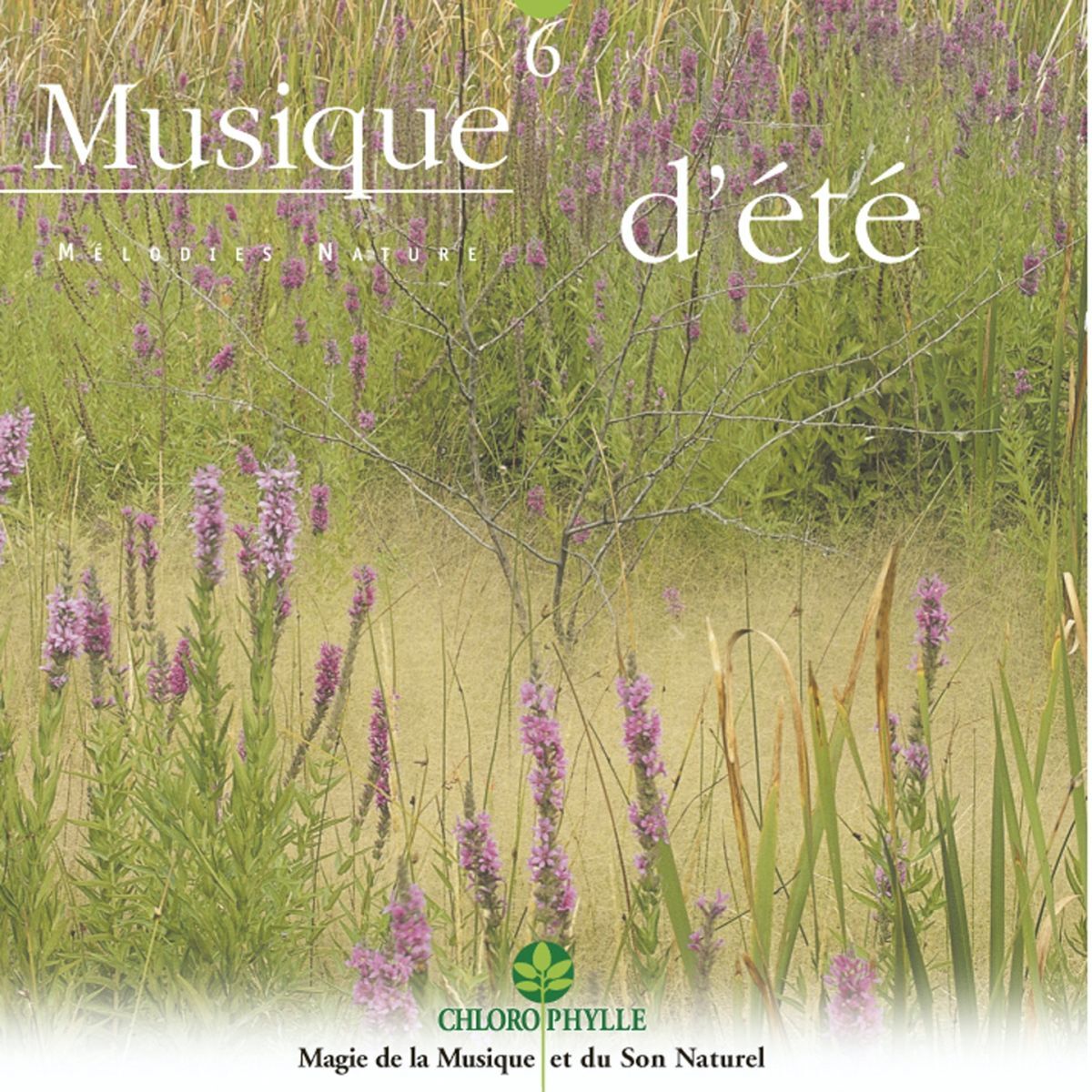 Album cover of Matin d'été