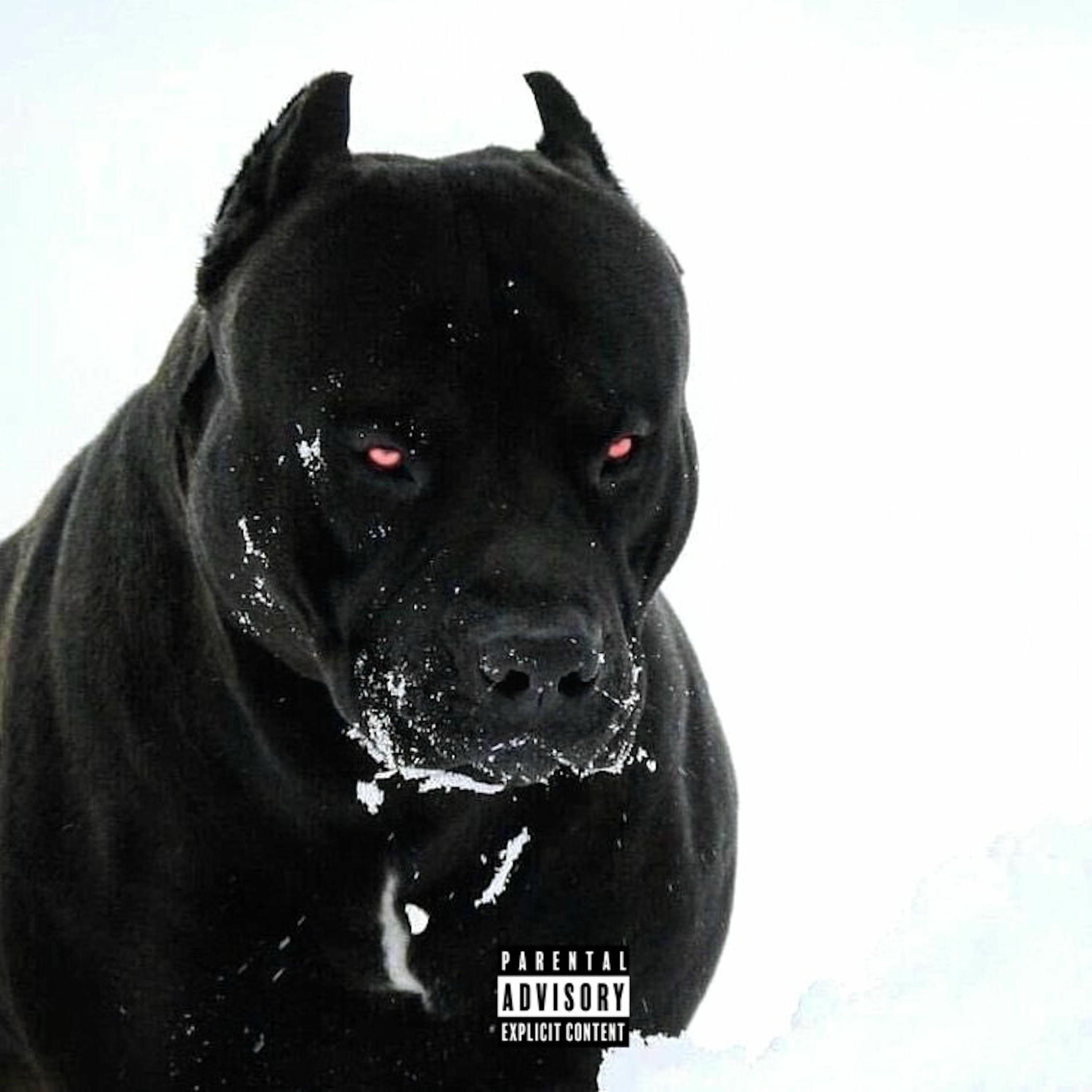Album cover of VICK.