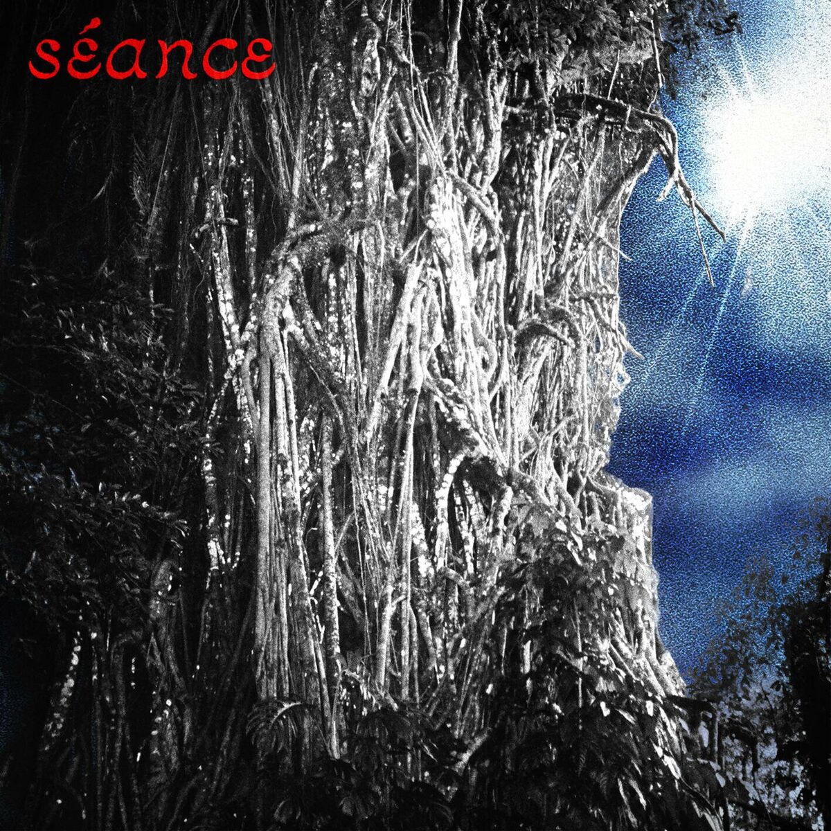 Album cover of Séance