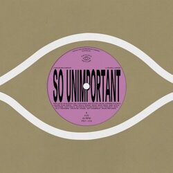 Cover of So Unimportant
