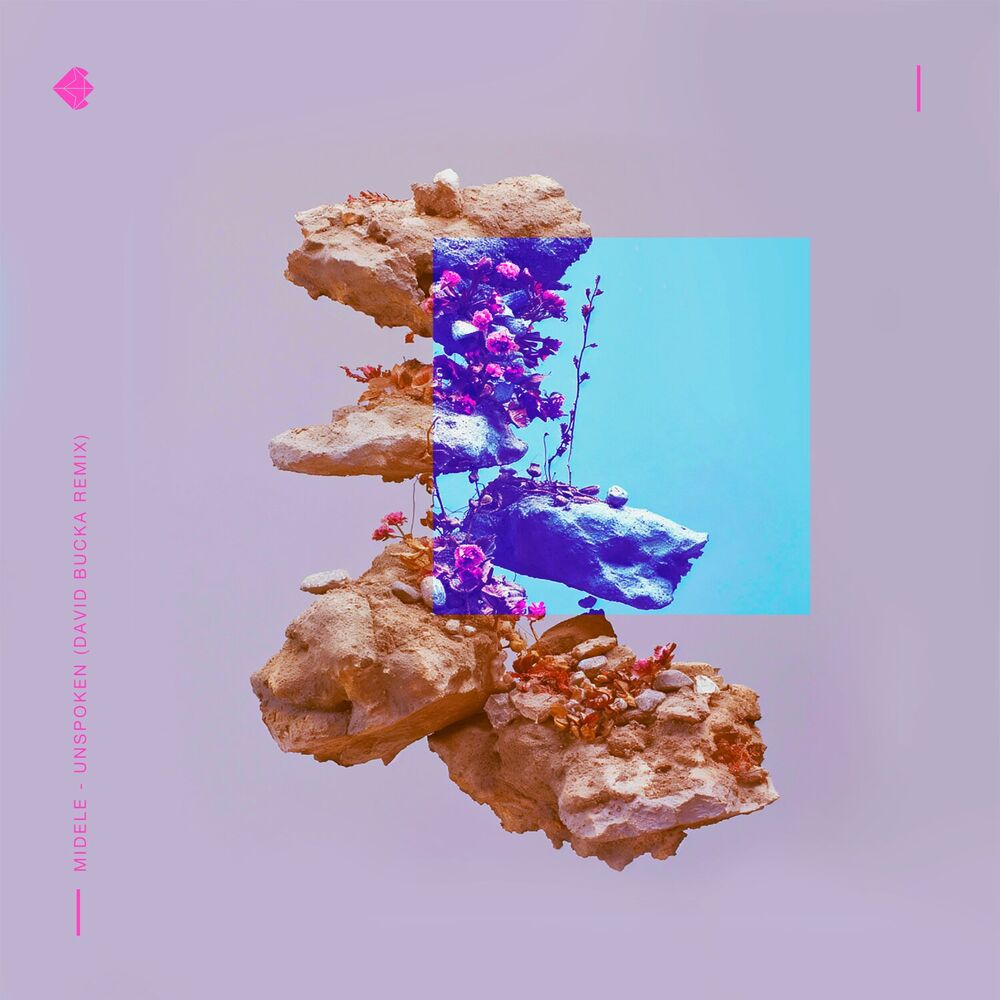 Picture of Unspoken (David Bucka Remix)