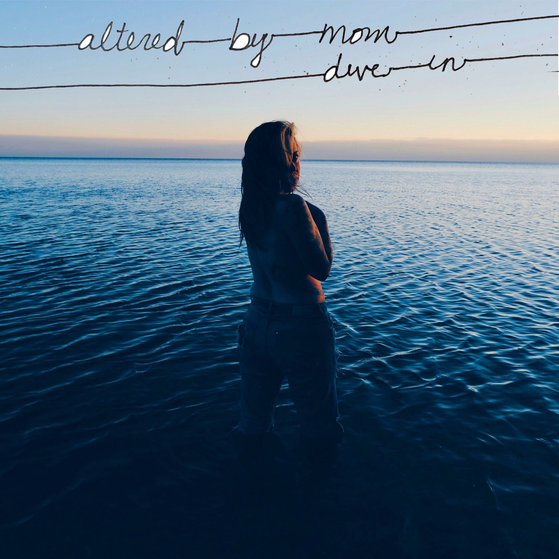 Album cover of Dive In