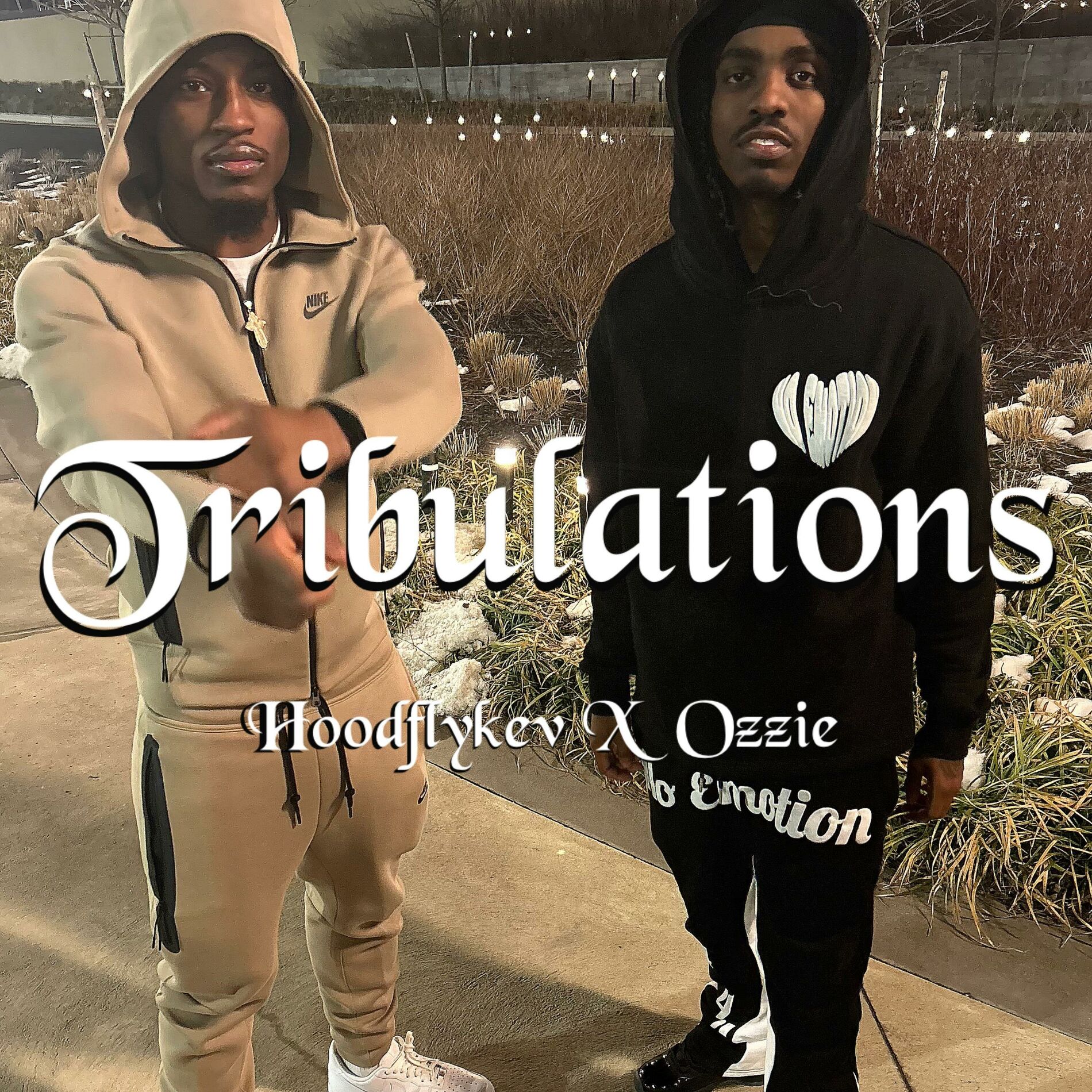 Album cover of Tribulations (feat. Ozzie)