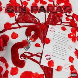 Cover of Sin Parar