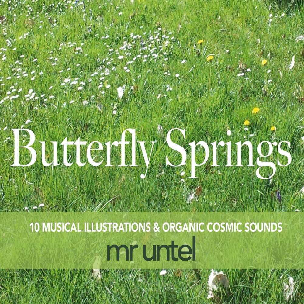Picture of Butterfly Springs (10 Musical Illustrations & Organic Cosmic Sounds)