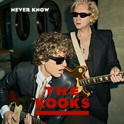 Cover of Never Know