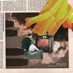 Cover of Polarization
