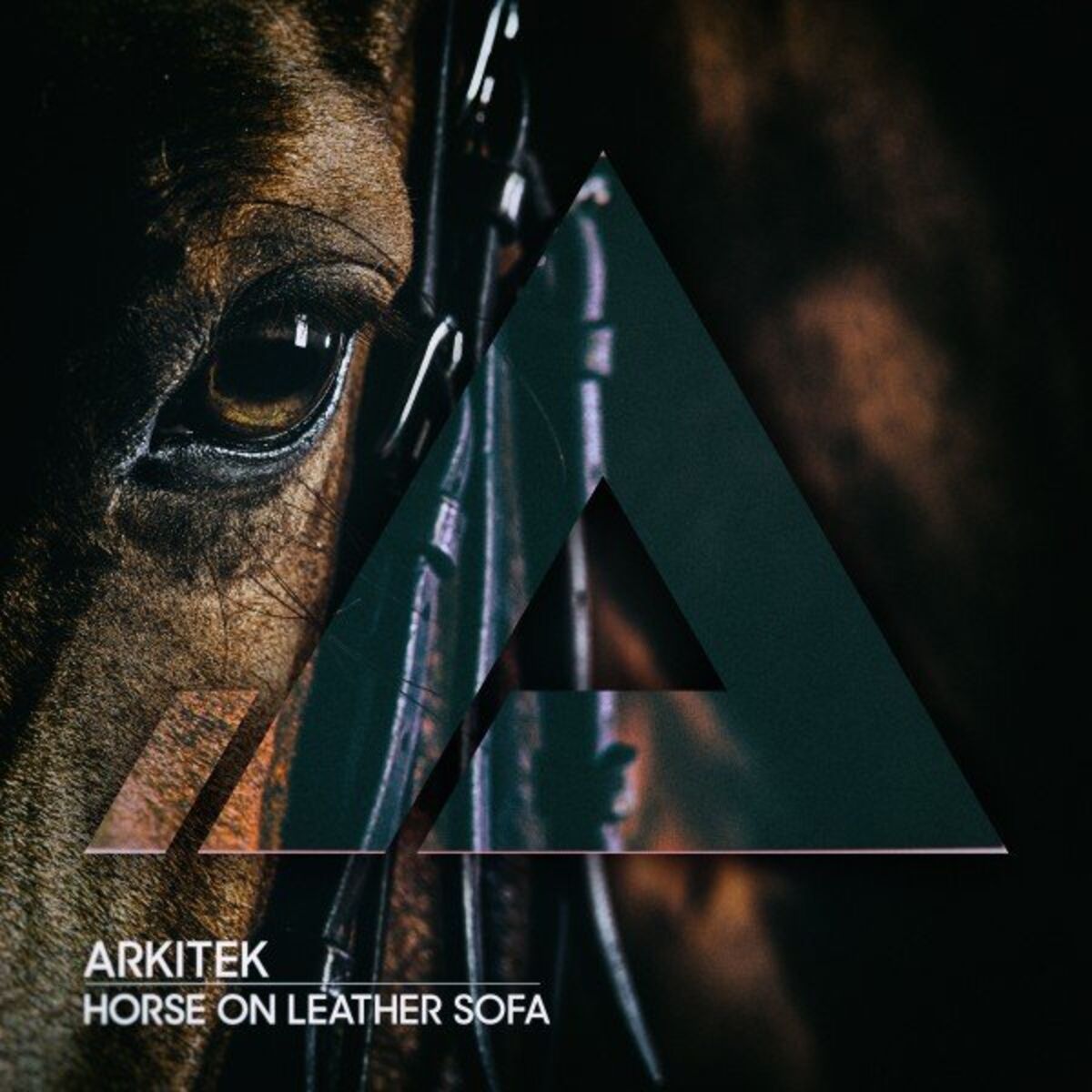 Album cover of Horse on Leather Sofa