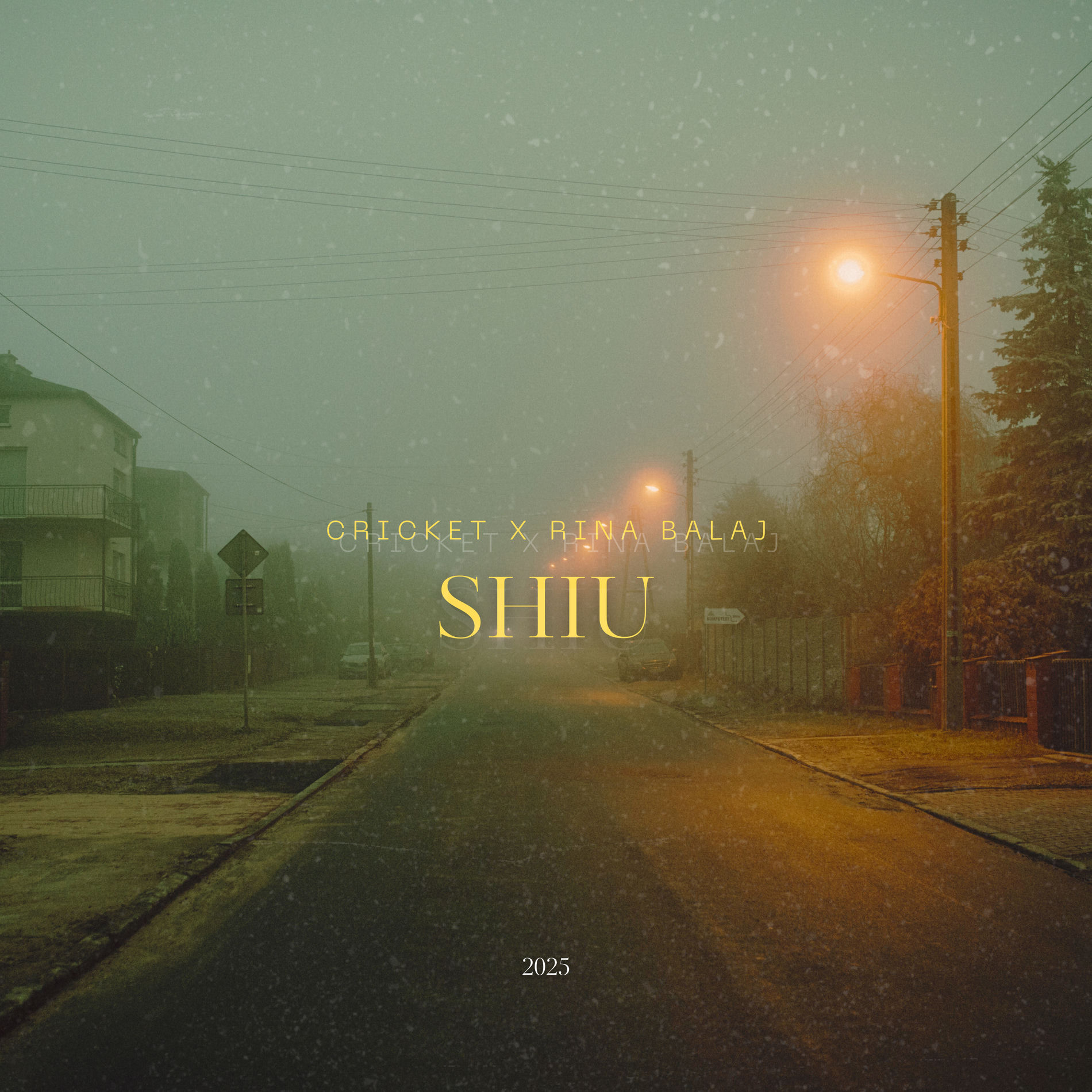 Album cover of Shiu