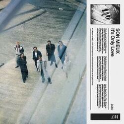 Cover of It’s Only Love