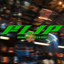 Cover of Flip