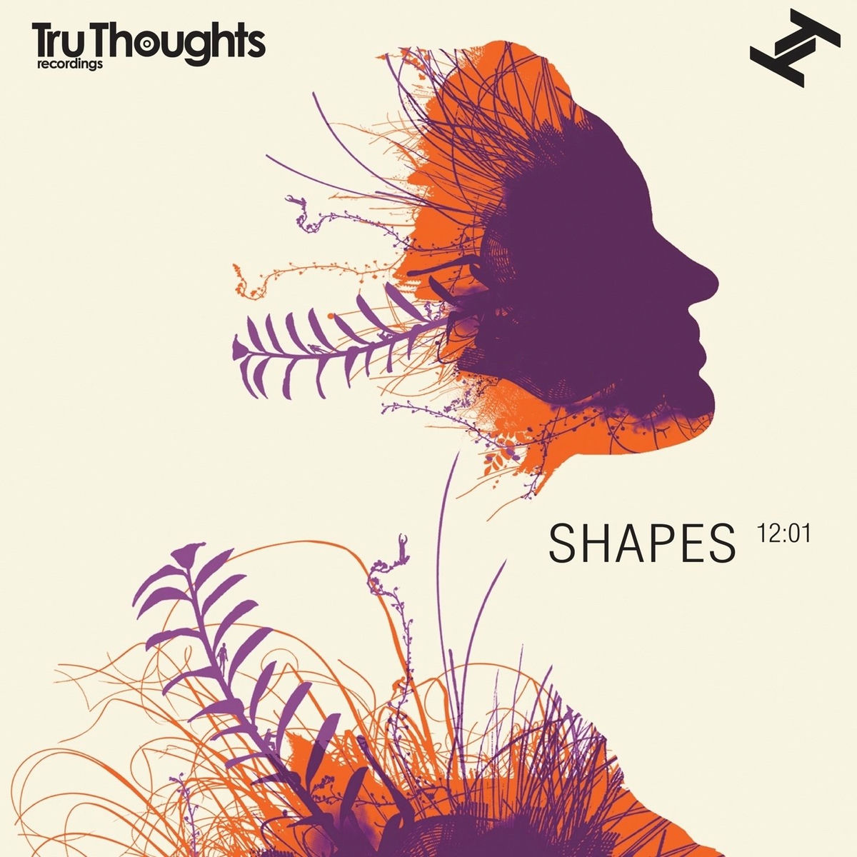 Album cover of Shapes 12:01 (Compiled By Robert Luis)