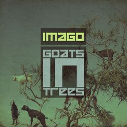 Cover of Goats In Trees