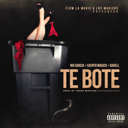 Cover of Te Bote