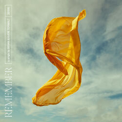 Cover of Remember