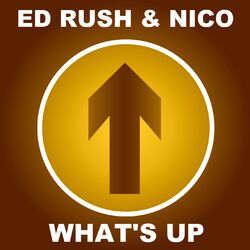 Cover of What's Up (2015 Remaster)