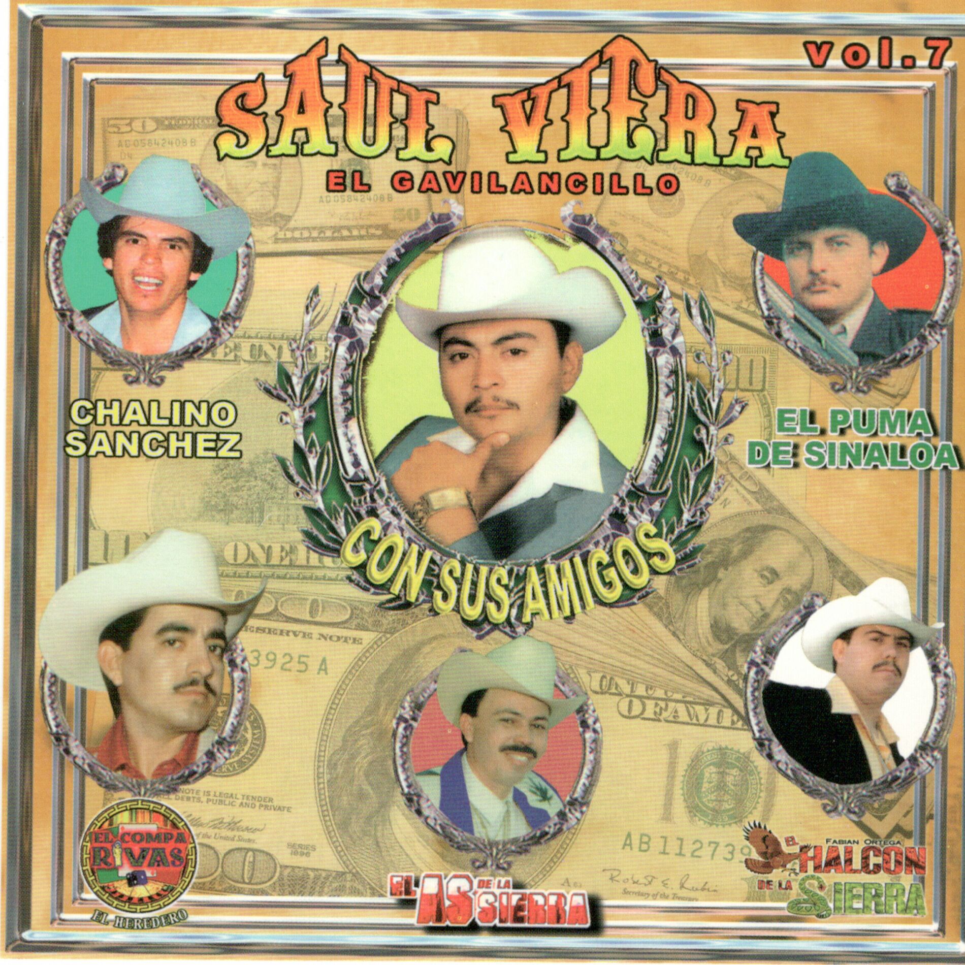 Album cover of Saul el Gavilancillo Viera Con Sus Amigos Vol. 7