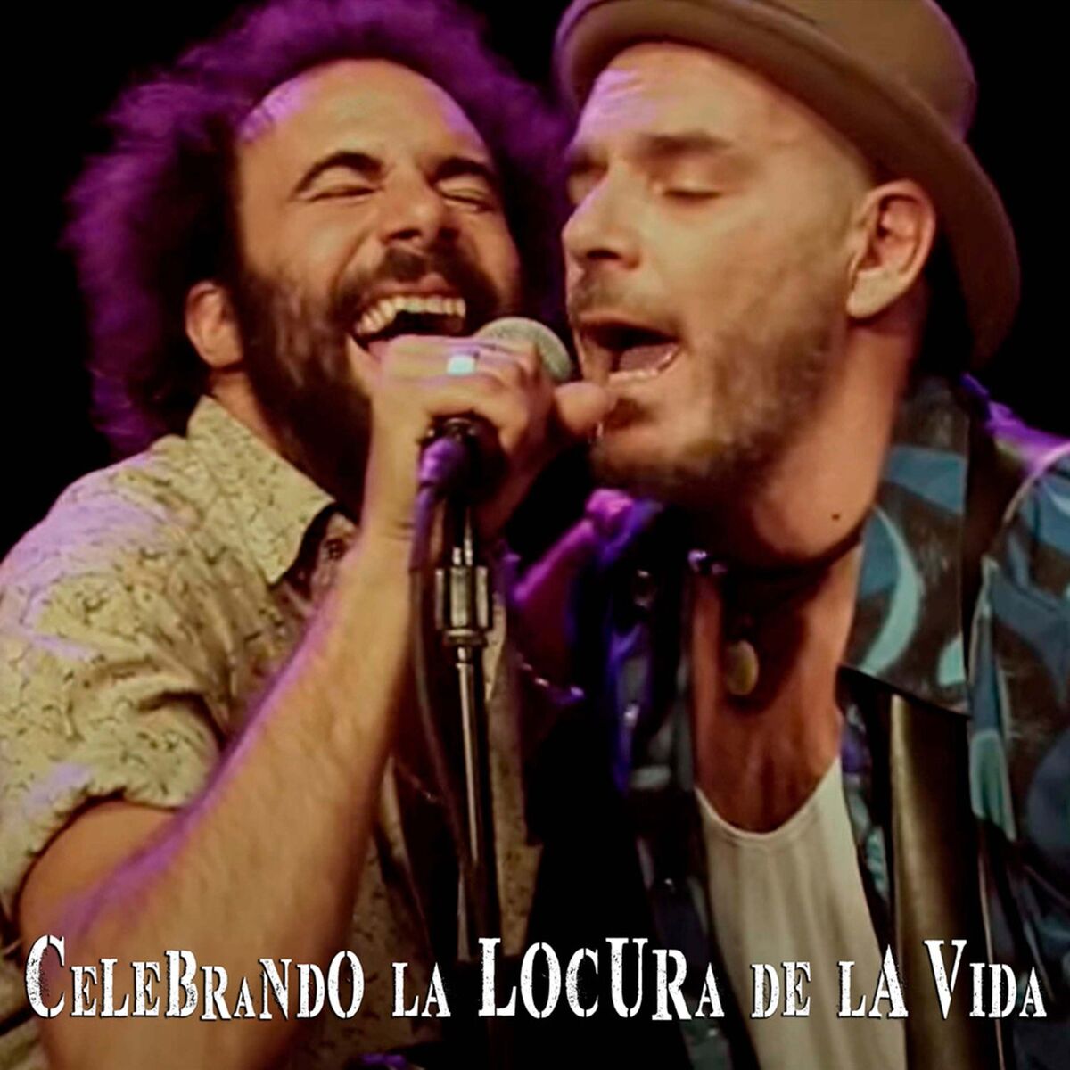 Album cover of Celebrando la Locura de la Vida