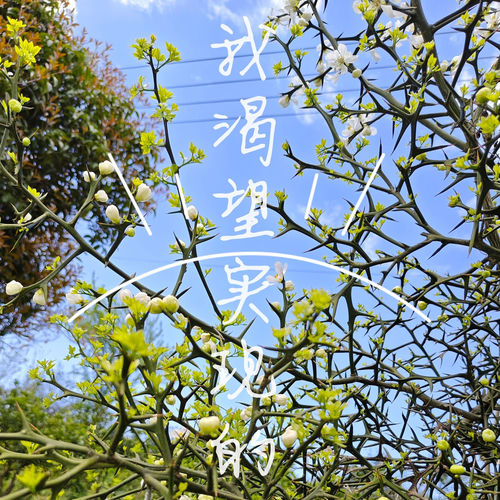 我渴望实现的
