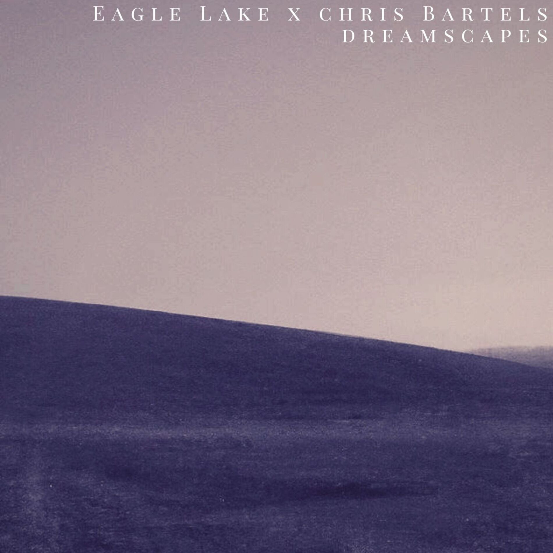 Album cover of Dreamscapes