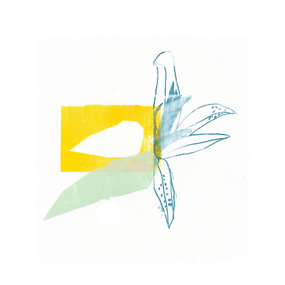Picture of A Baleia