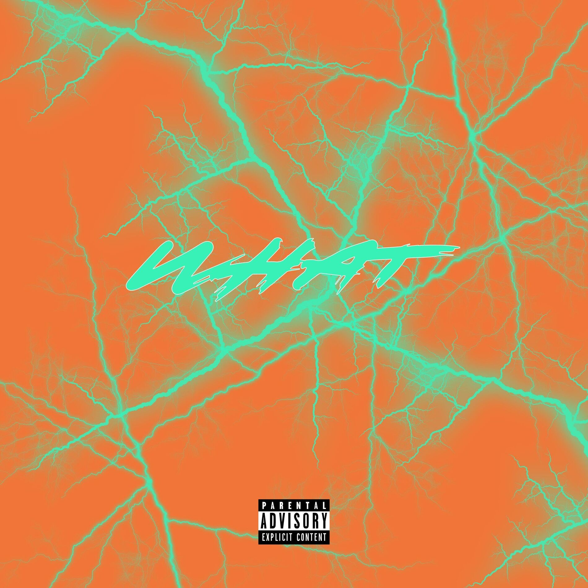 Album cover of WHAT